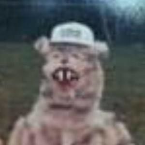 Meet your Posher, Blake